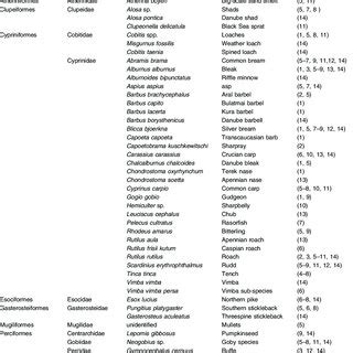 Alphabetical List of Fish A.